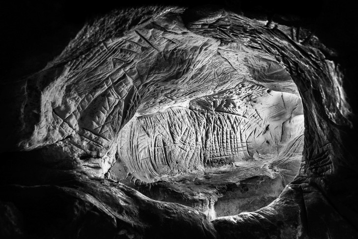 Des gravures rupestres en forêt de Fontainebleau