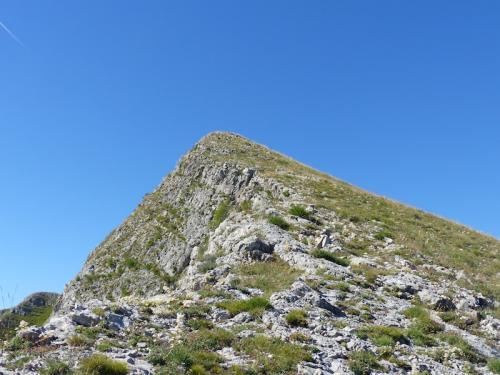 Cloches de Barles