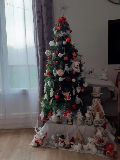 Mon sapin 2022  !!!