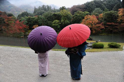 Marc Paygnard  L’éternel émerveillé