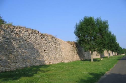 Bourg-le-Roi ( Sarthe )