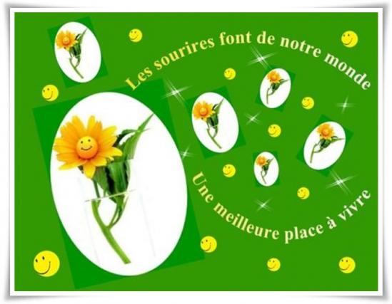 "Jaune, lumineux, printanier" .... Le forsythia ....