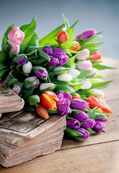 Tulipes