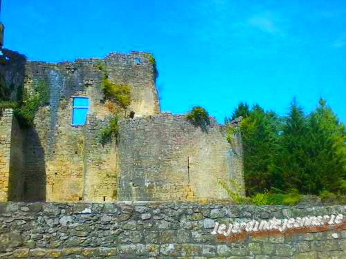 suite du château du pape Clement V a Villandraut (Gironde)