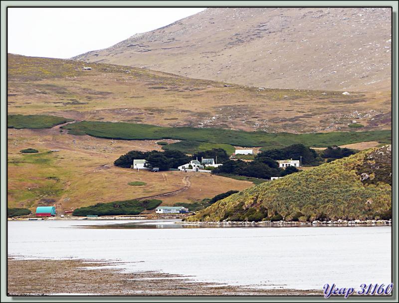 Paysage représentatif de l'île de West Point et du hameau du même nom vu du chenal de Woolly Gut - Falkland Islands, Iles Malouines, Islas Malvinas