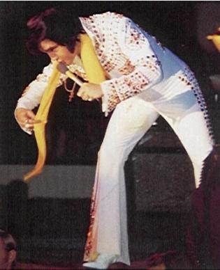 ELVIS