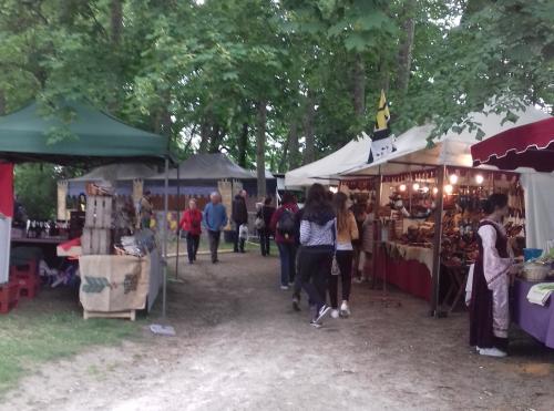 NOGENT-LE-ROTROU (festival Percheval 2/2)