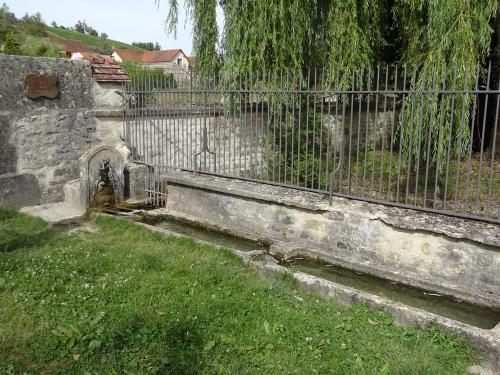 Une belle balade à Chaumont le bois et Vannaire, guidée par Anne Bouhélier