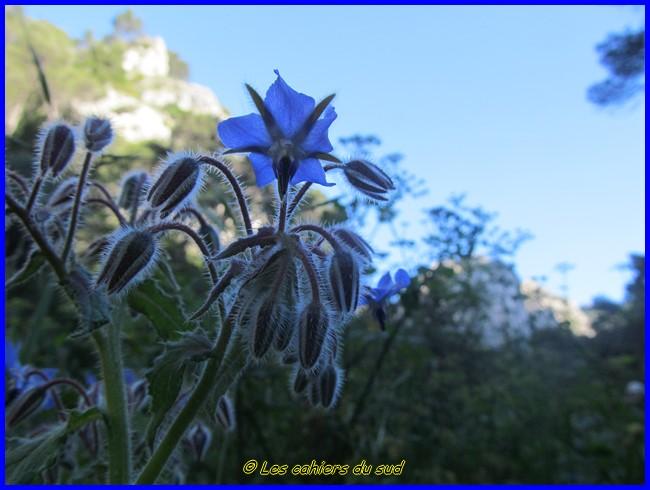 Destel les grottes du haut St Martin