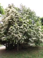 Le Périgord c'est vraiment très chouette 