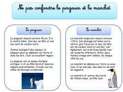 LES ANIMAUX PROCHES 