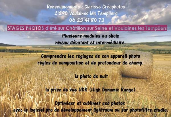 Les journées Châtillonnaises 2015 ont accueilli les producteurs locaux, les associations, les commerces, des spectacles...