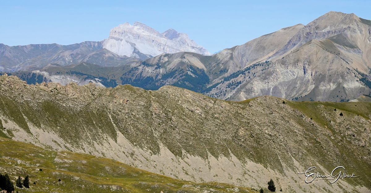 L'Encombrette