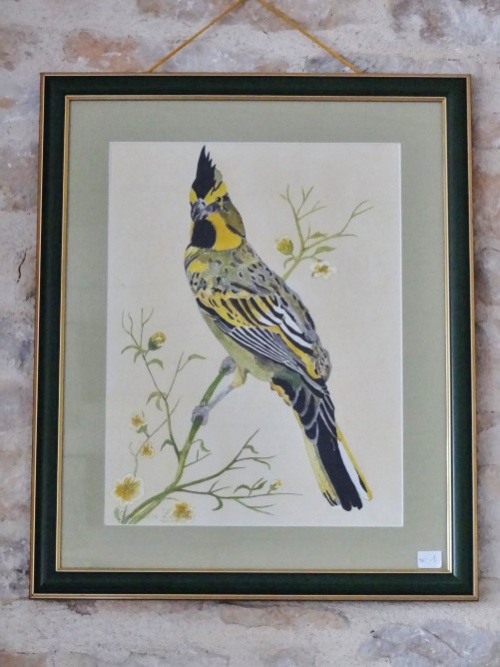 Aquarelles de Mme Leblanc