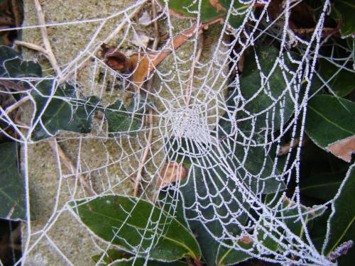 Résultats du concours photos