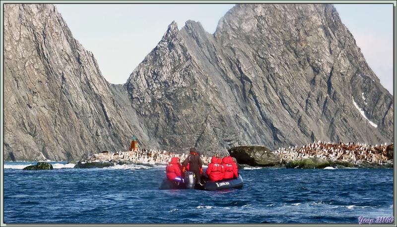 Point Wild avec le buste du Commandant Pardo et Belsham Cape