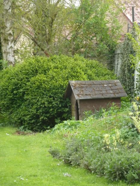 "Toxocité de certaines plantes" ....