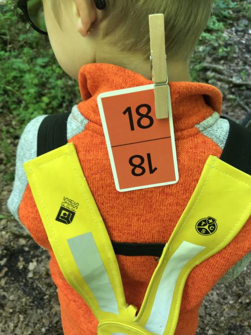 Sorties en forêt du 28 mai et du 11 juin