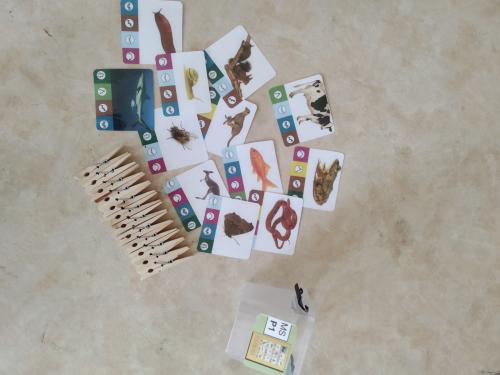 En route pour MES ateliers rentrée 2019 !