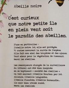 Ouessant 30 ans de mariage 2014 246