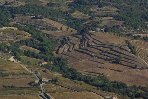 Les dentelles de Montmirail  (Vaucluse)