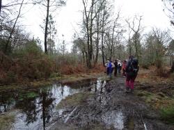 CR / RANDO 15 / ST-MEDARD-EN-JALLES
