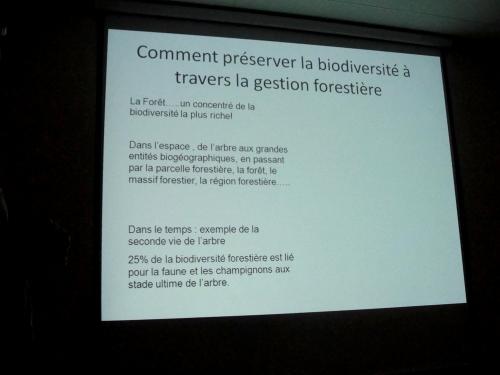 -Dominique Masson , peintre à Villaines en Duesmois