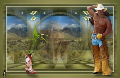 Evalynda (Saturnella)