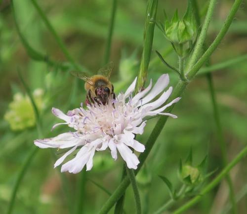 Randonnée "Au fil de l'eau" à NERS