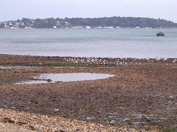 MORLAIX-0817.JPG