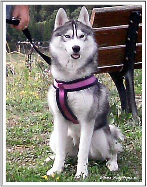 Jeska (14 mois)