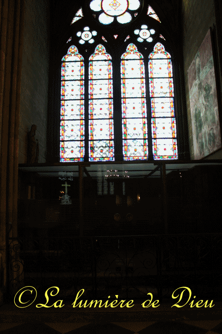 La cathédrale Notre-Dame de Paris