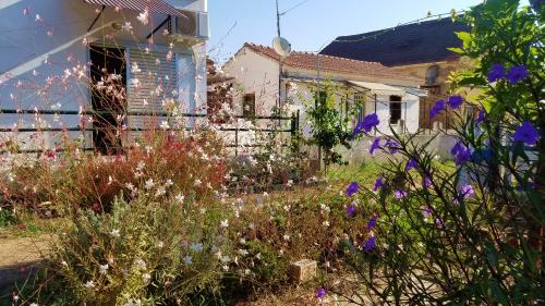 Le triomphe de l'esprit cycladique