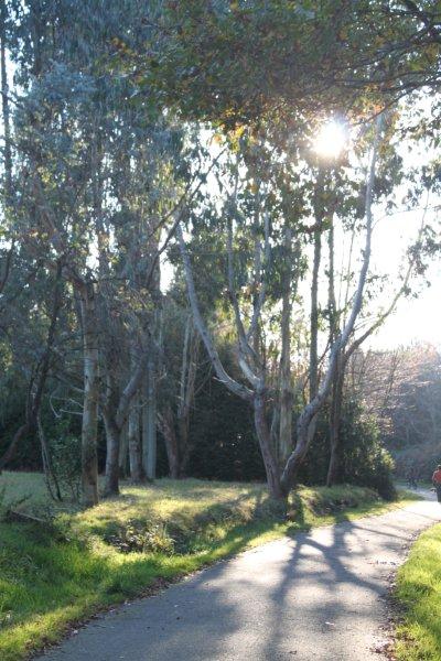 jardin à St Urbain 054