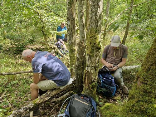 "Le long du Ru Blanc" - Mercredi 17 juillet 2024