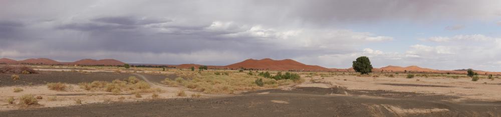 Les dunes de Merzouga