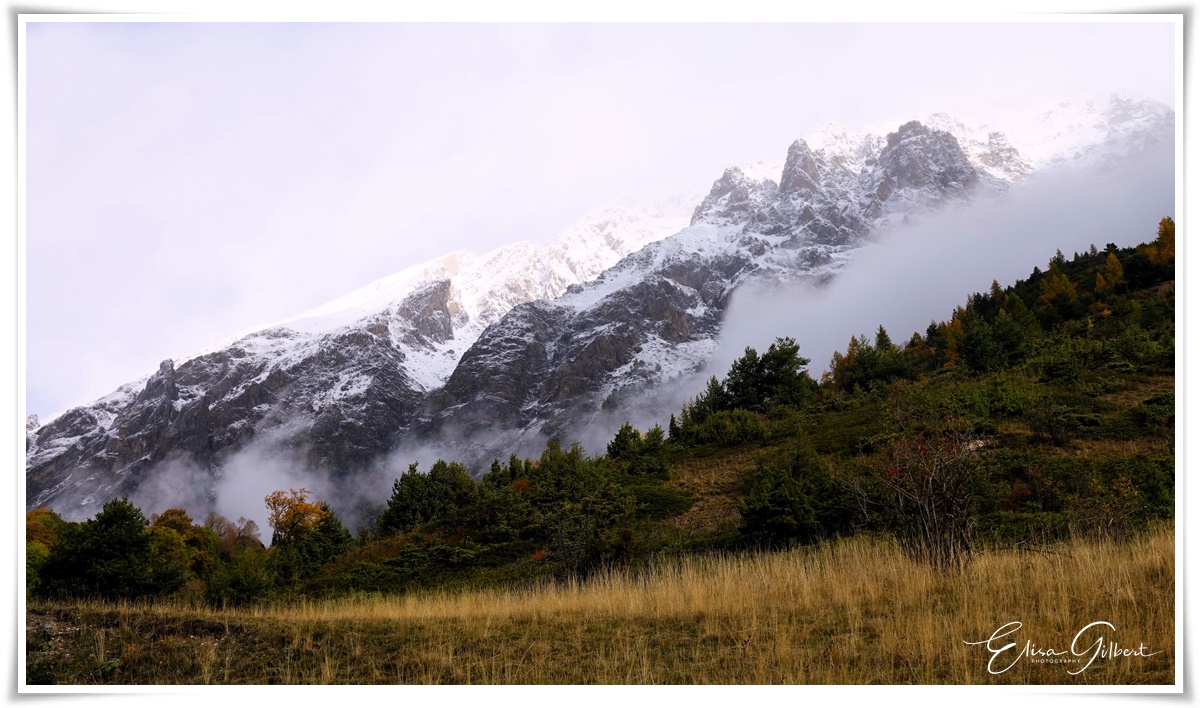 Ambiance hivernale