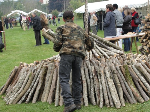La fête de l'automne 2010 à Leuglay