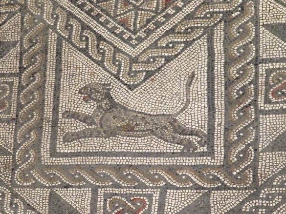 La ville de Grand dans les Vosges, possède une mosaïque gallo-romaine extraordinaire par sa taille et sa beauté !