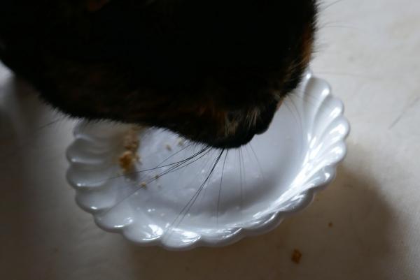 Petits gâteaux pour les chats