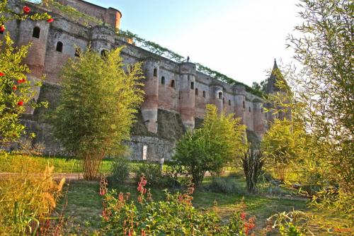 Albi  (Tarn)