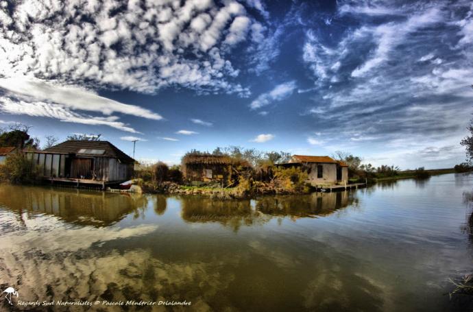 Le long du canal...