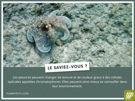 SAVIEZ VOUS ?