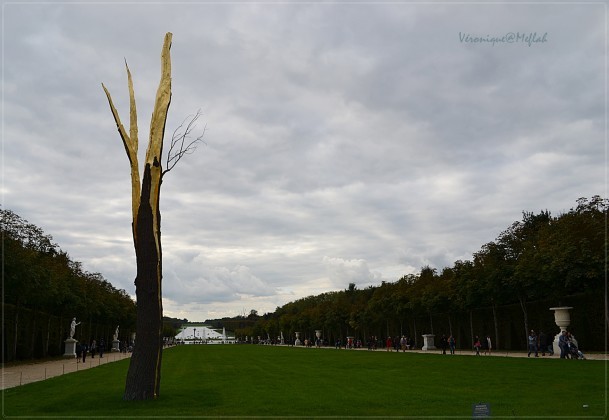 Penone l'arbre foudroyé 3