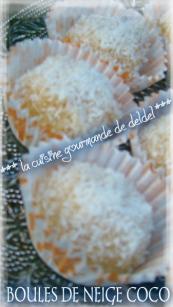 BOULES DE NEIGE COCO