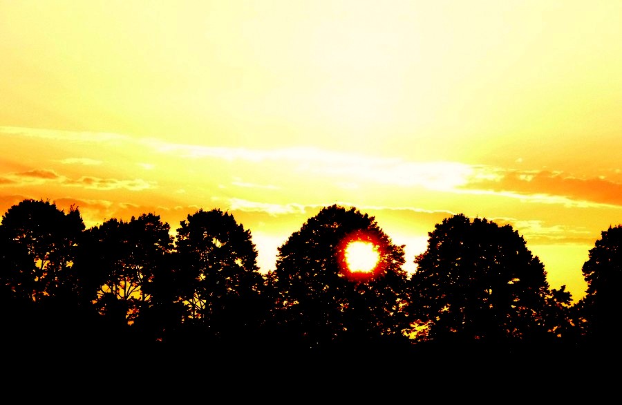 Pour le sourire de deux enfants ... et plus ...