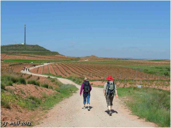 (J41) Azofra / Navarette 15 mai 2012