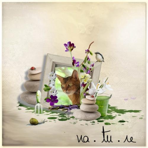 Mes derniers scraps ......