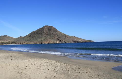 Lundi 20 au dimanche 26 janvier