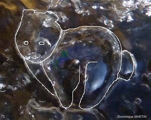 LES EMANANTS ANIMAUX 2